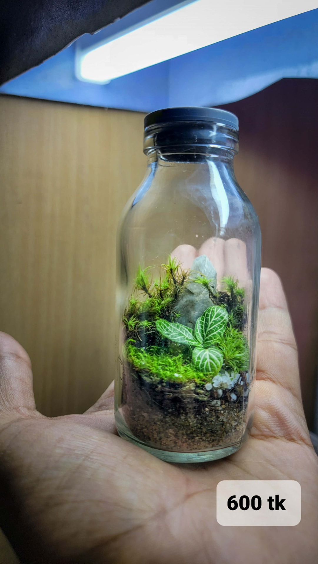 Capped Bottle Forest