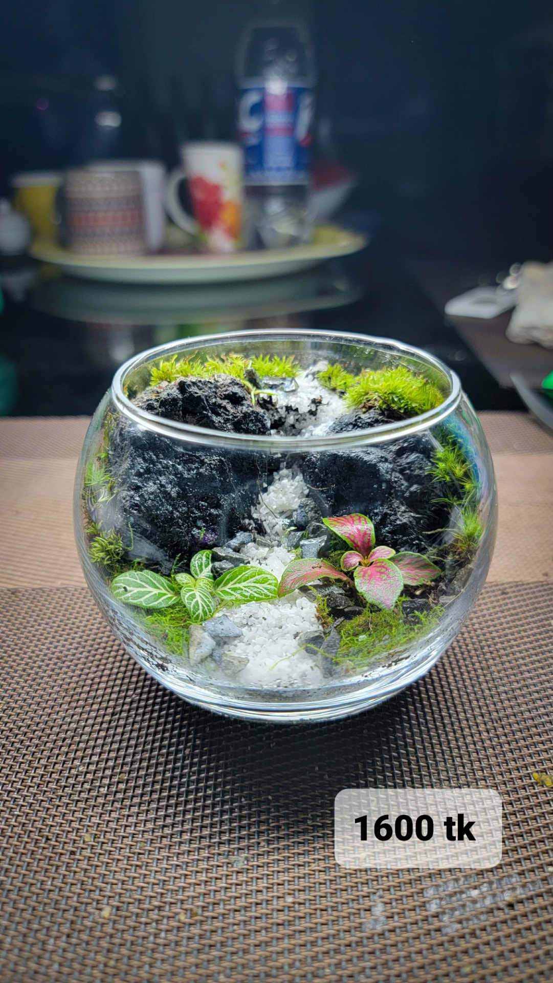 Mini Waterfall Terrarium
