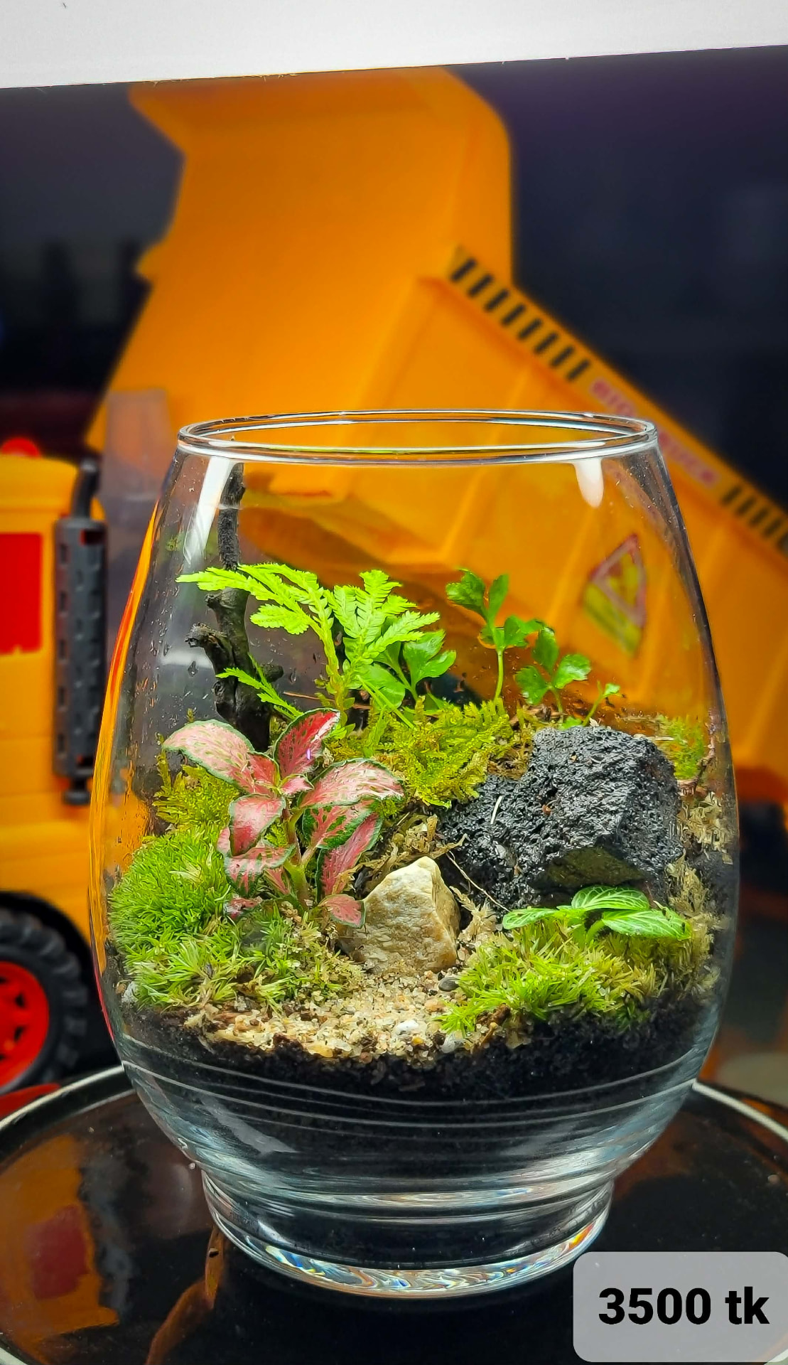 Fern Valley Tumbler Terrarium
