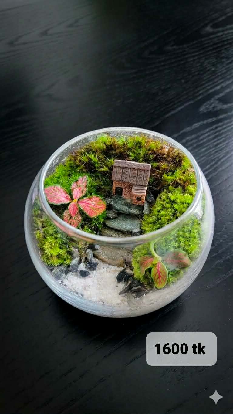 Mini Cottage Path Terrarium