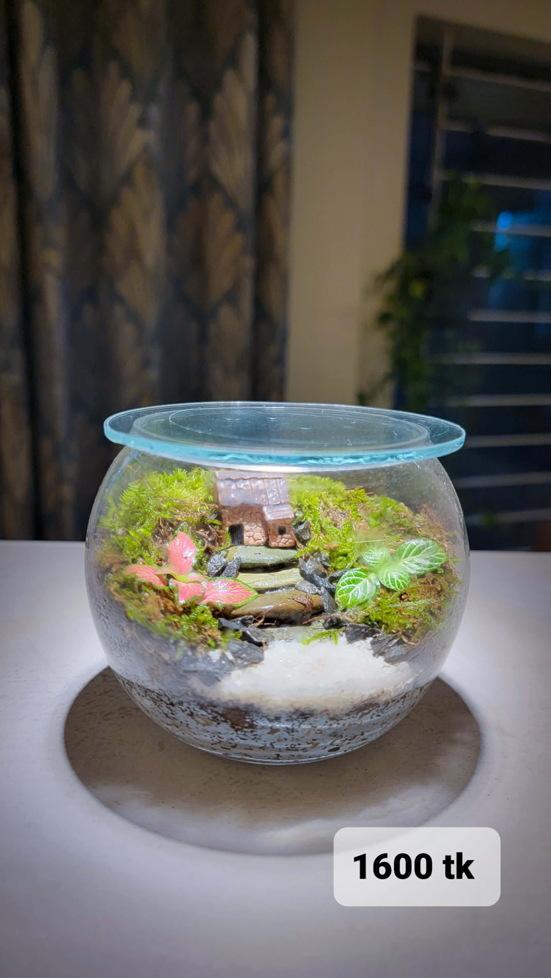Covered Cottage Terrarium