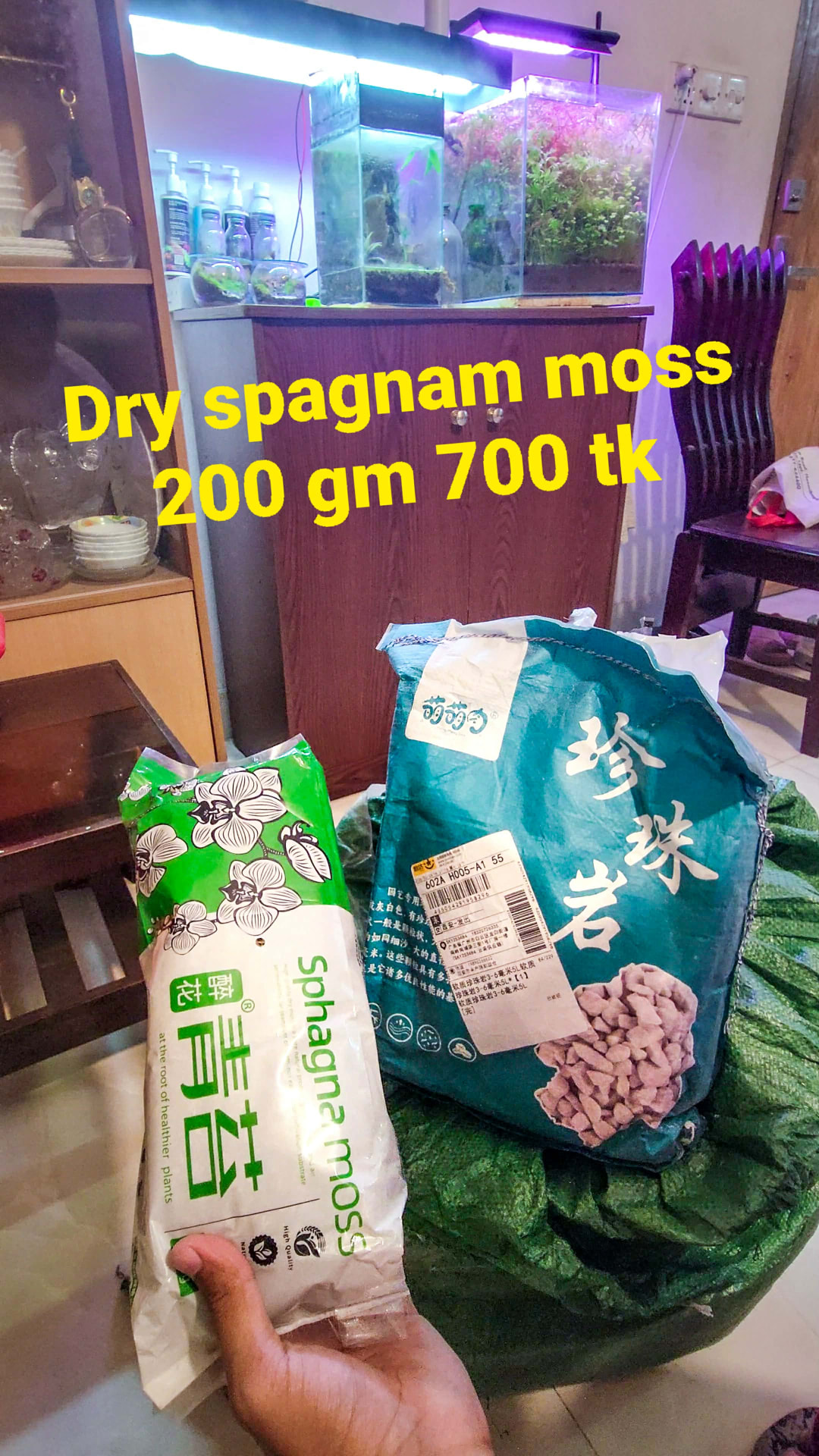 Dry Sphagnum Moss