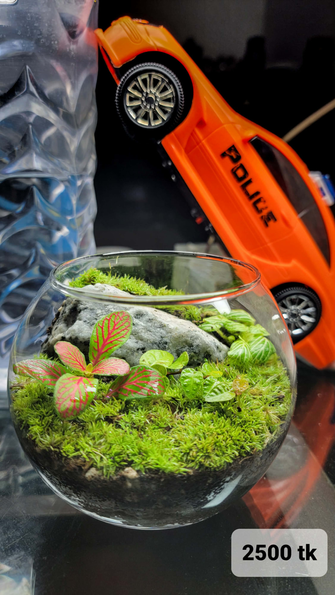 Boulder Bowl Terrarium